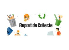 report collecte